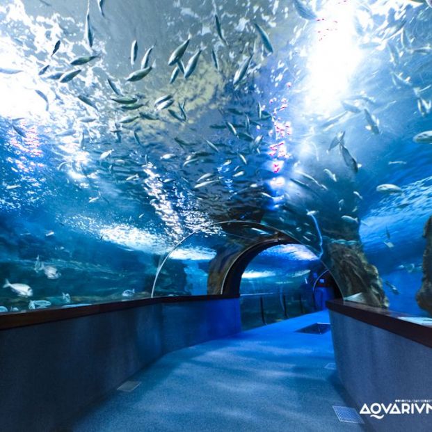 Acuario de San Sebastián Acuario de San Sebastián