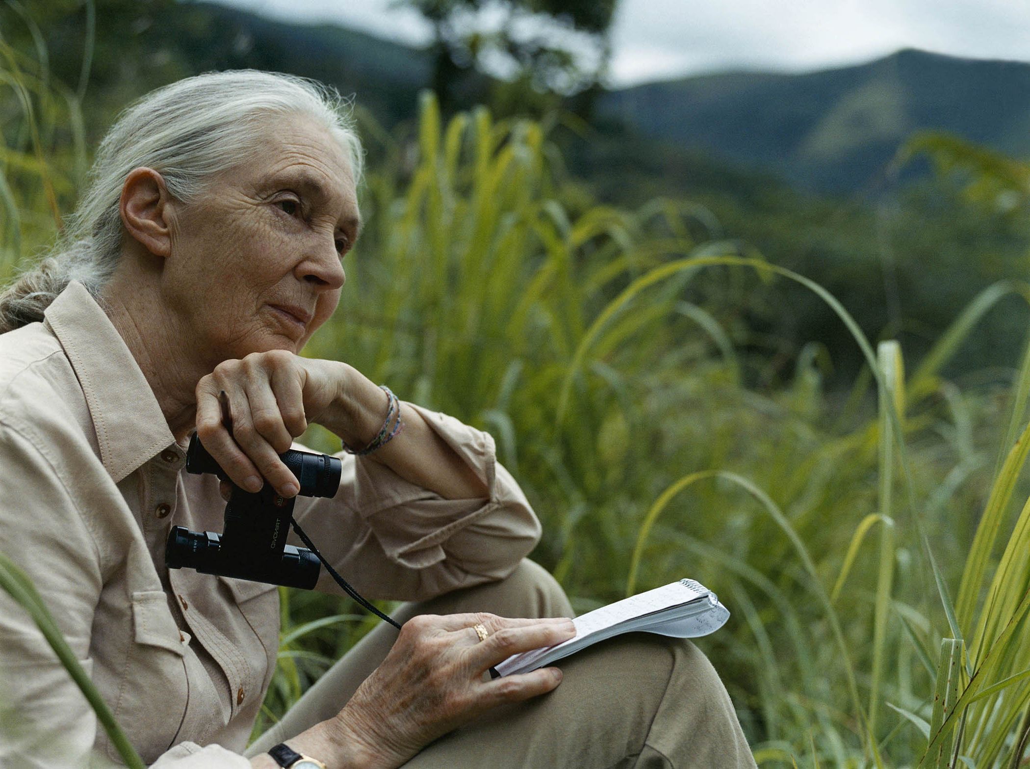 Jane Goodall