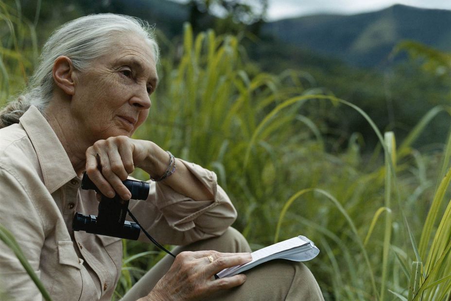 Jane Goodall Jane Goodall