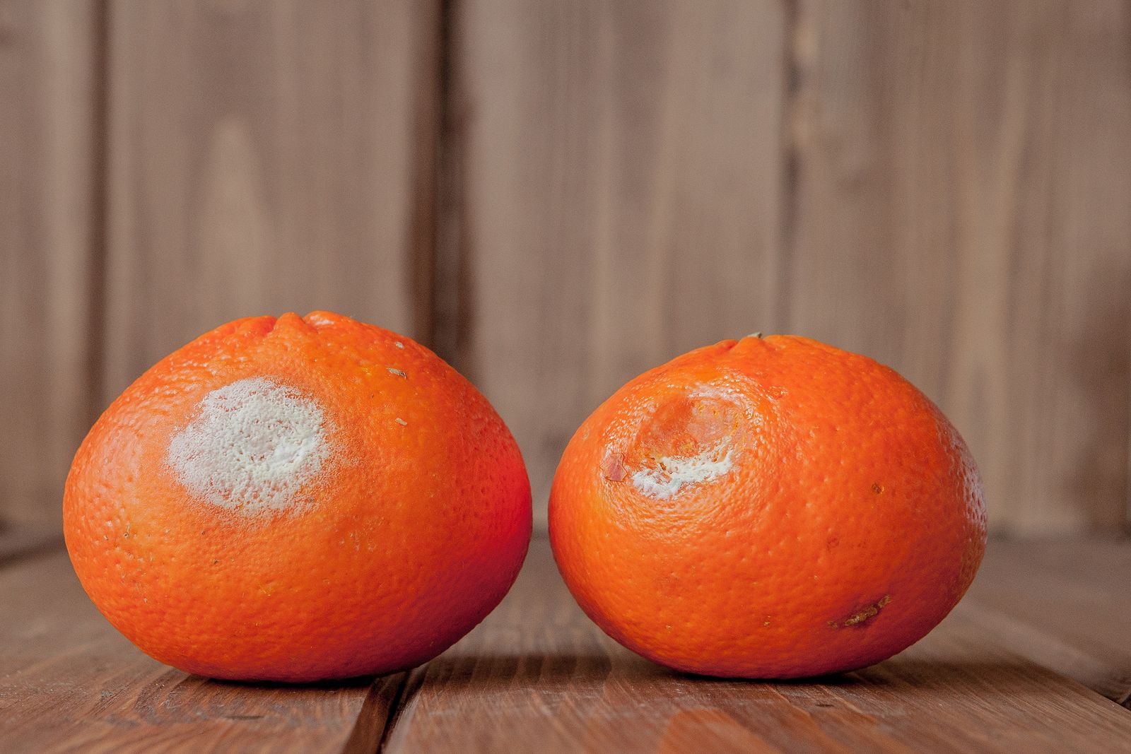 Estos son los riesgos de quitar la parte podrida de las frutas y comerte el resto despreocupadamente