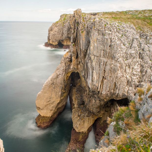 Bufones de Arenillas en Asturias