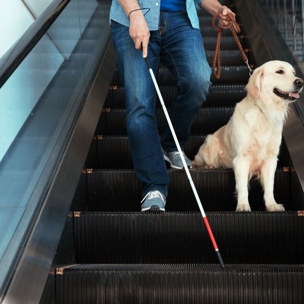 Persona ciega con perro guía y bastón