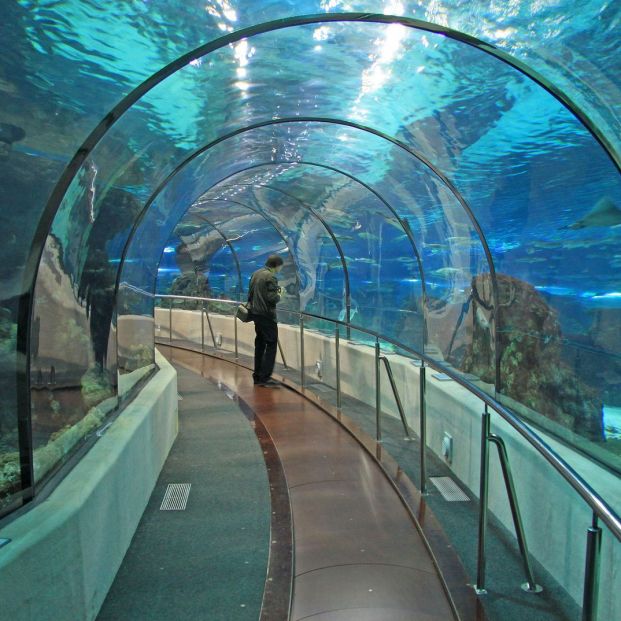 L’Aquàrium de Barcelona L’Aquàrium de Barcelona