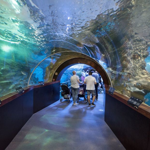 Aquarium de San Sebastián Aquarium de San Sebastián