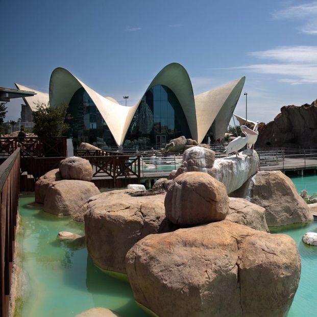 Oceanographic de Valencia Oceanographic de Valencia