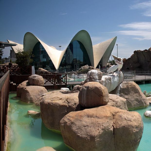 Oceanographic de Valencia