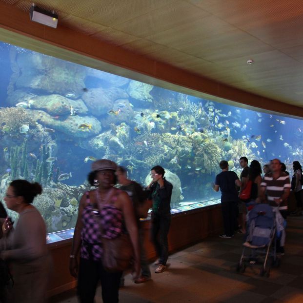 Oceanographic de Valencia Oceanographic de Valencia