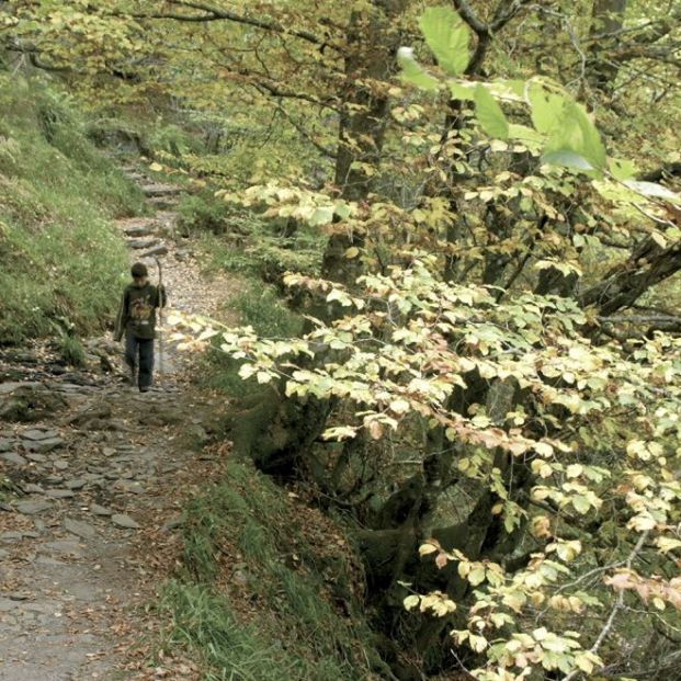 rutas senderismo galicia Devesa da Rogueira