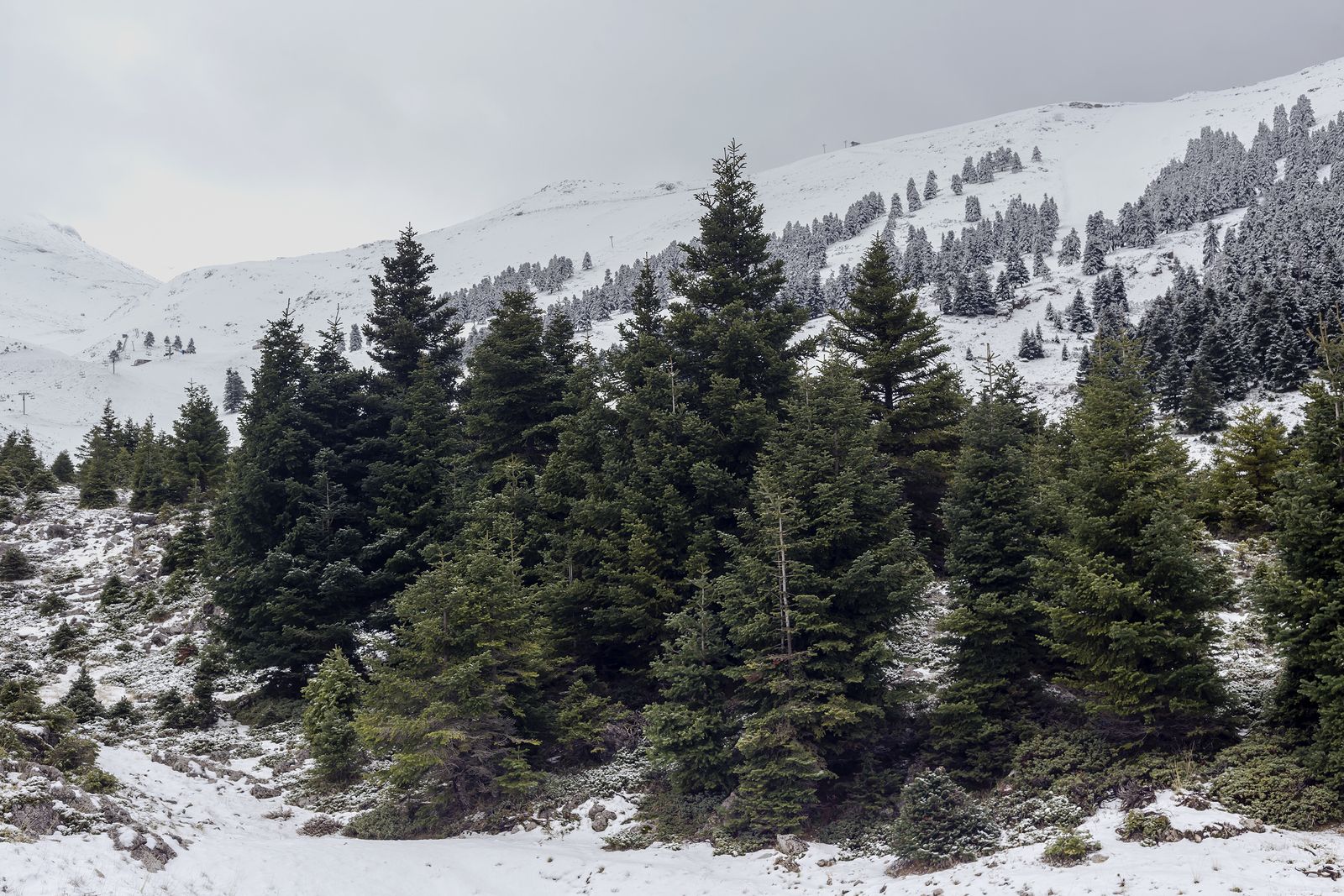 Refranes sobre el invierno y cómo será el año si los tenemos en cuenta