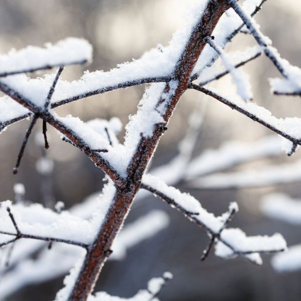 Refranes sobre el invierno y cómo será el año si los tenemos en cuenta