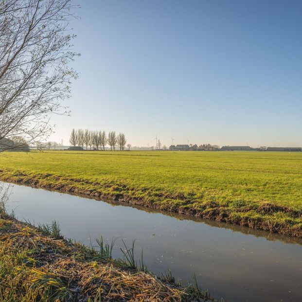 Refranes sobre el invierno y cómo será el año si los tenemos en cuenta