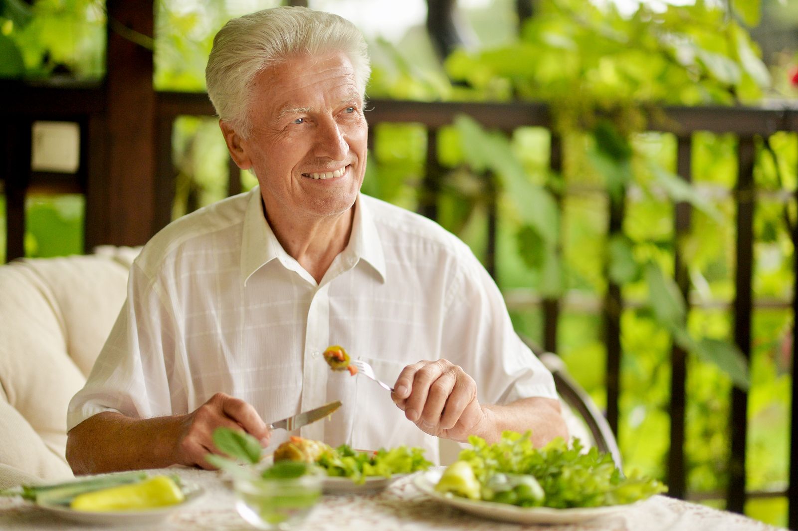 El ácido fólico en la dieta de los mayores
