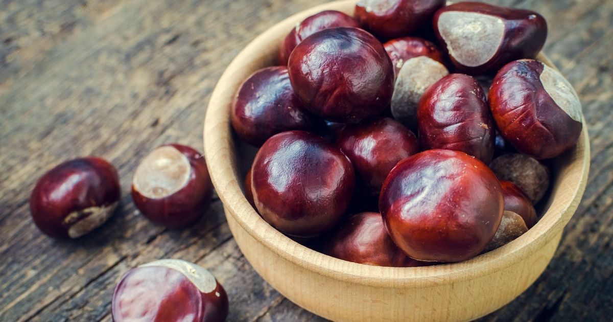 Castanas Build El truco para hacer castañas asadas en casa