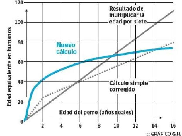 Gráfico para calcular la edad de un perro