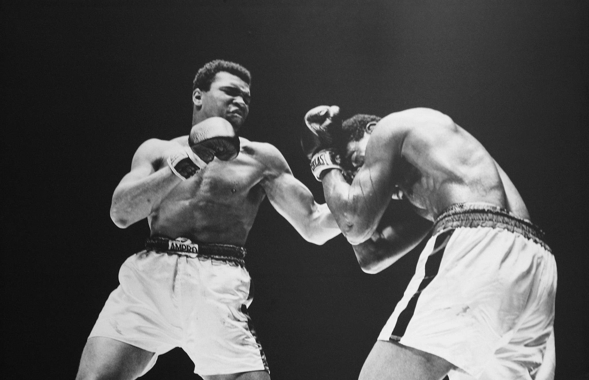 Muhammad ali Muhammad ali