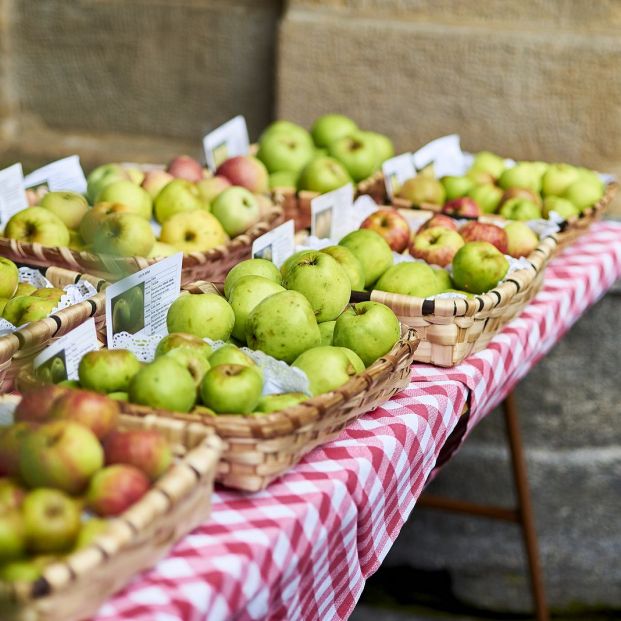 Comienza la temporada de sidra en Guipúzcoa y estas son algunas sidrerías para disfrutarla