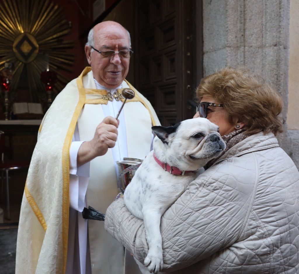 Qué hacer en las fiestas de San Antón (Madrid), además de ir a la tradicional bendición de animales