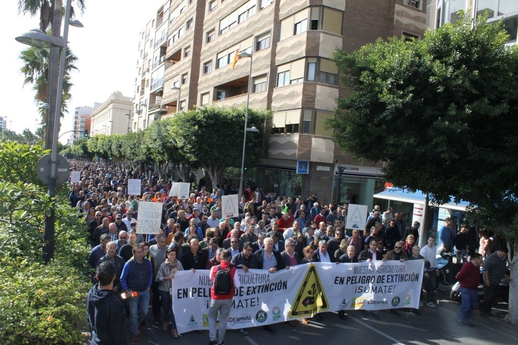 Asaja, COAG y UPA convocan movilizaciones en toda España en defensa del mundo rural