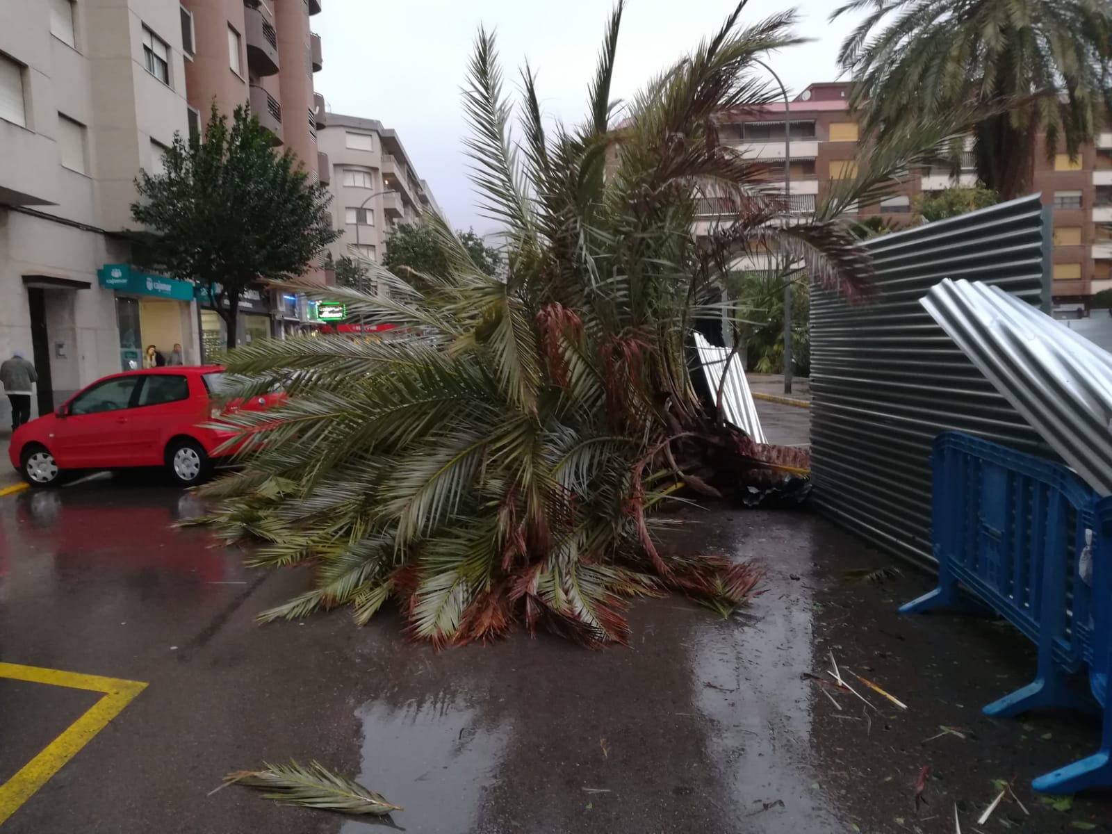 Muere una mujer en Gandia por el temporal Gloria