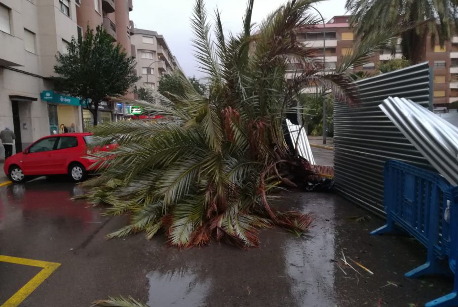 Muere una mujer en Gandia por el temporal Gloria