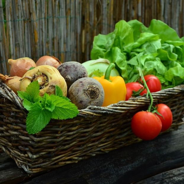 Las verduras y hortalizas aportan magnesio (Creative commons)