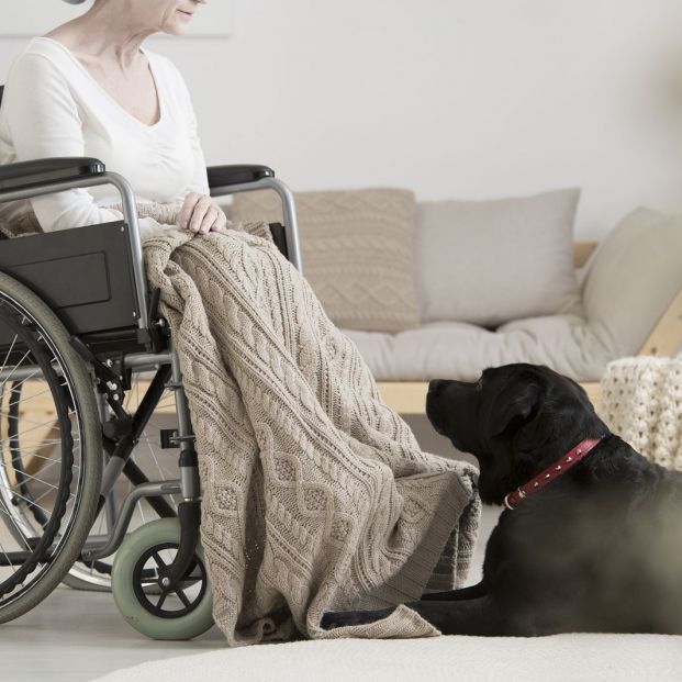 Terapia con mascotas, con un perro