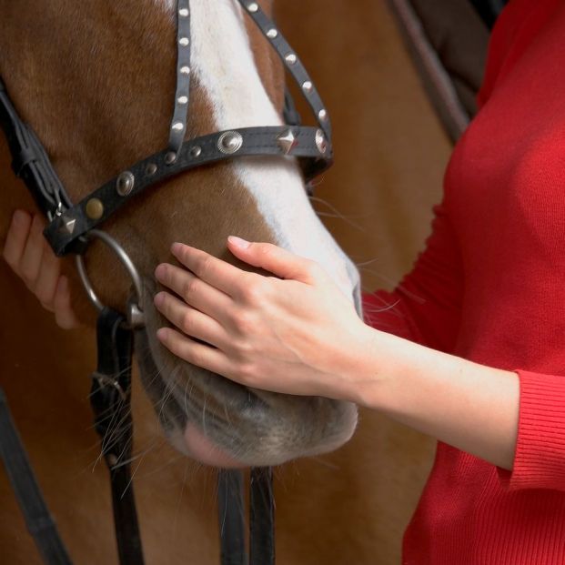 Terapia con un caballo