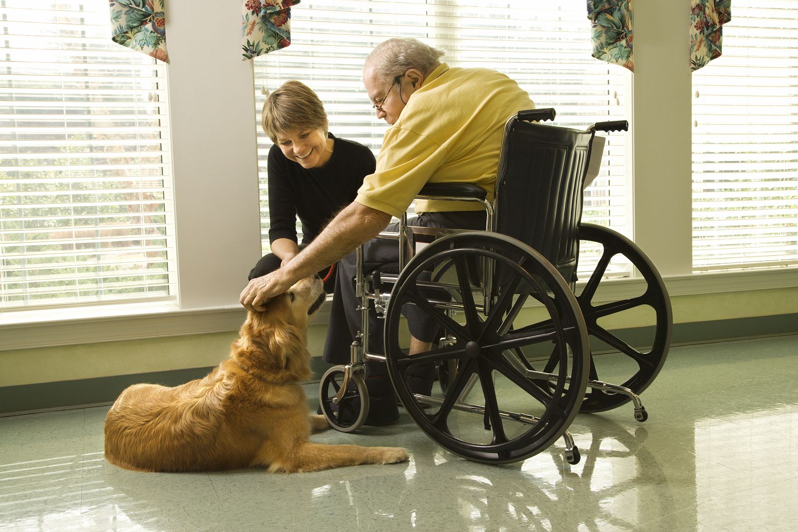 ¿Qué es la terapia con mascotas para los mayores?