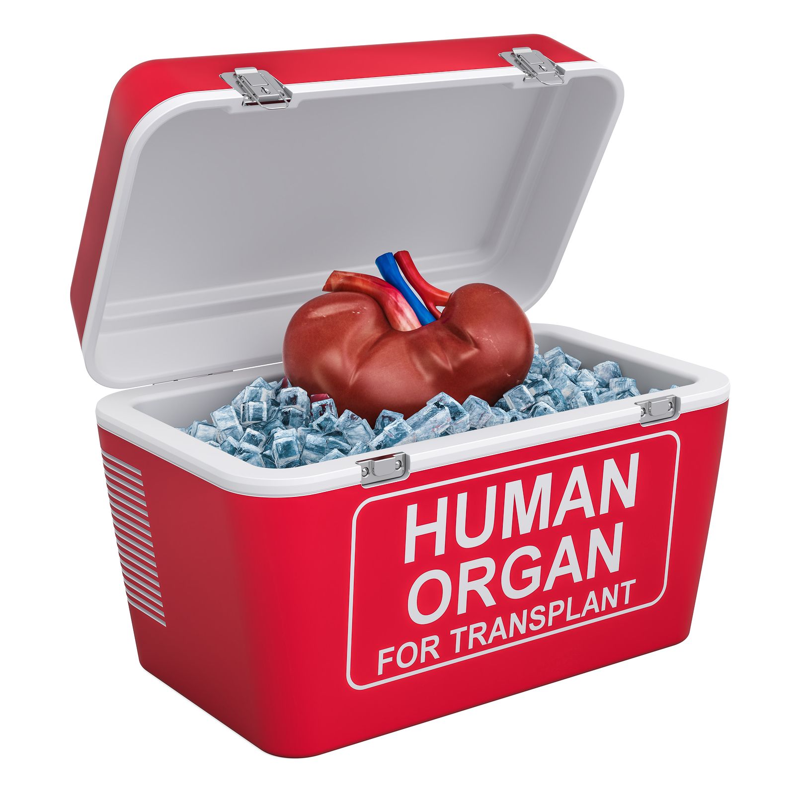 Órgano compatible para un transplante sin rechazo