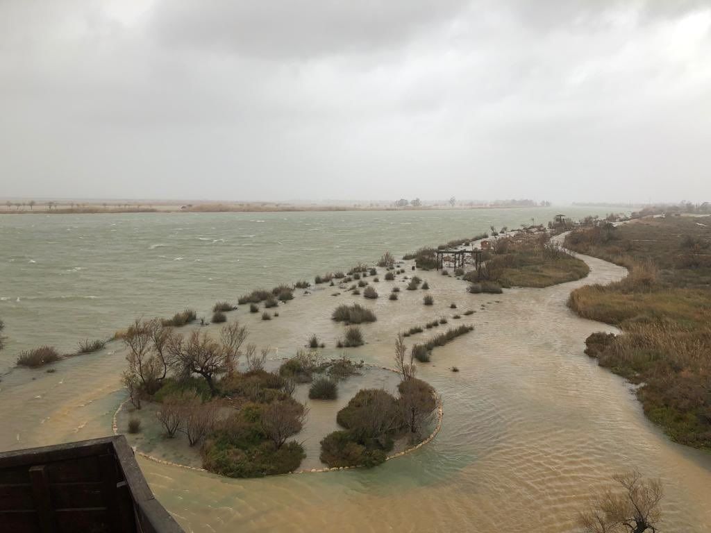  Inundaciones en la zona del delta del Ebro por la borrasca 'Gloria'  (1)