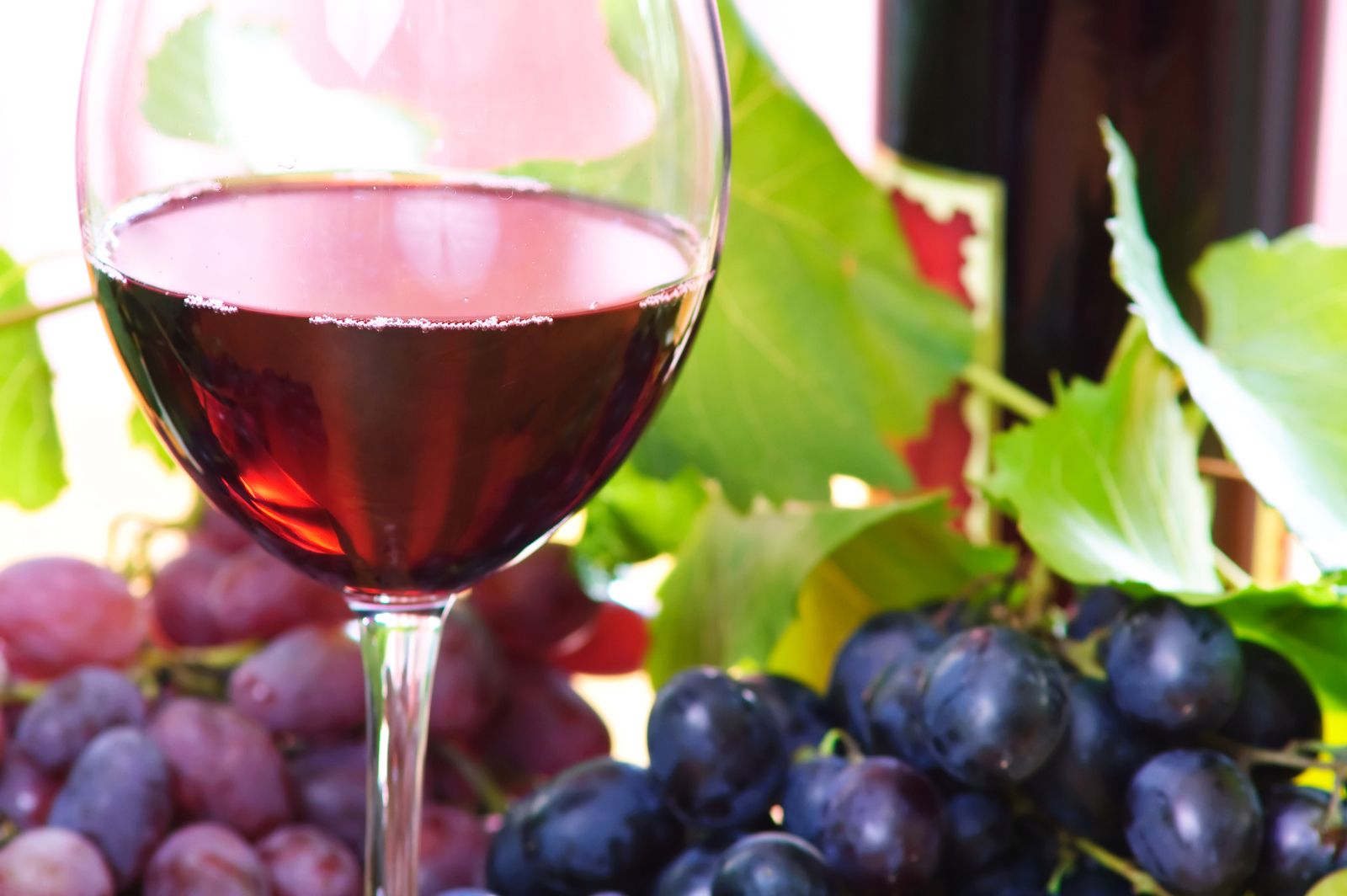 Cuántas copas de vino se pueden tomar al día (Bigstock)