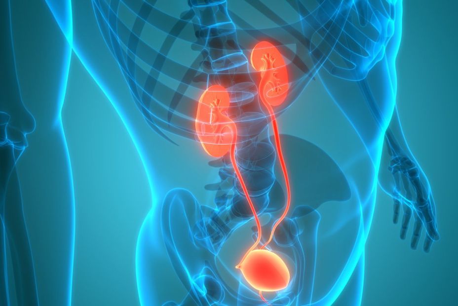 Foto: Bigstock.