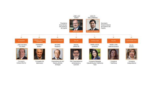 Comites expertos