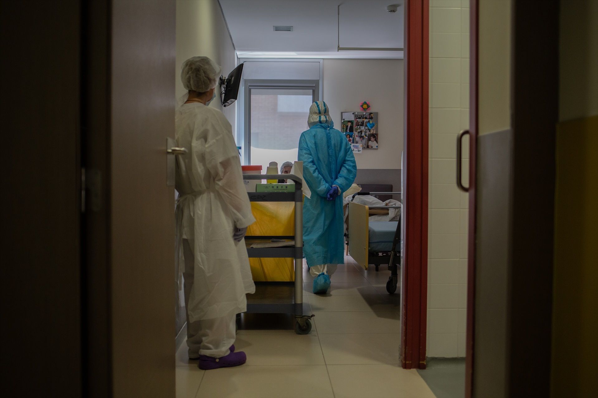 El Gobierno asegura que las residencias están preparadas para el hantavirus: ¿hay que preocuparse?