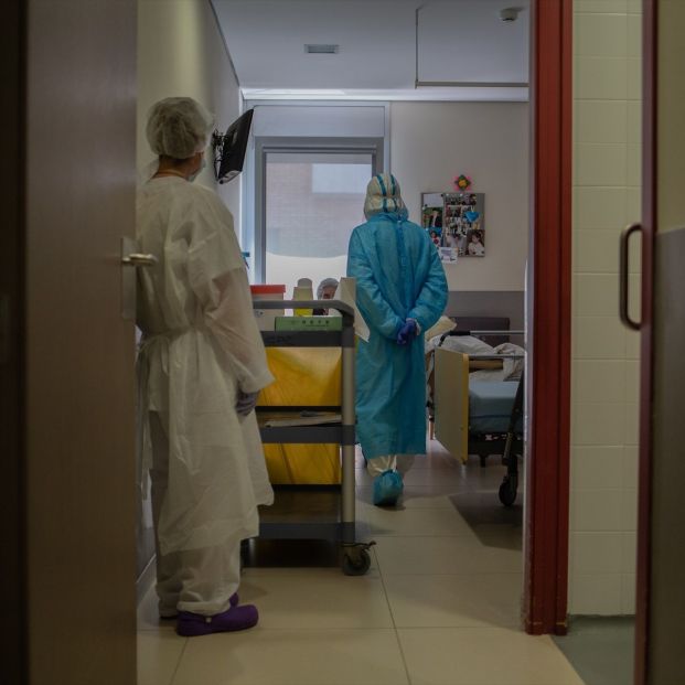 El Gobierno asegura que las residencias están preparadas para el hantavirus: ¿hay que preocuparse?