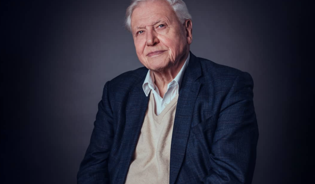 David Attenborough cumple 100 años y revela su 'secreto' de longevidad