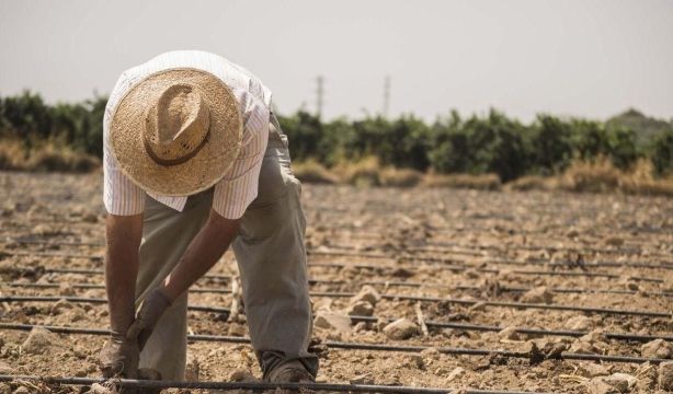 Los salarios de la agricultura y el sector servicios, los menos protegidos ante el IPC / Fuente: EuropaPress