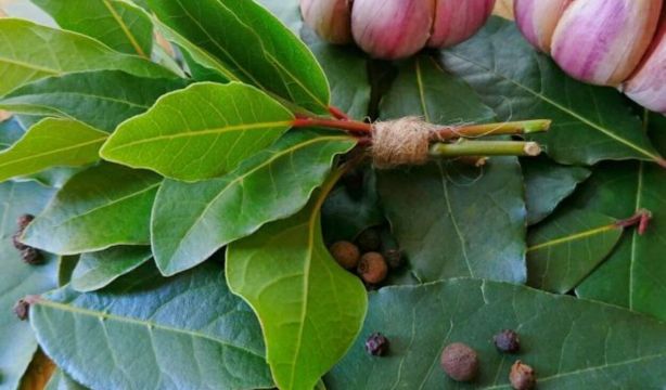 El truco casero con laurel y bicarbonato que ayuda a eliminar malos olores en casa. Foto: Bigstock.