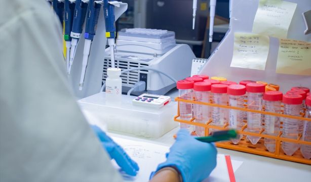 Validan dos algoritmos utilizados para predecir el riesgo cardiovascular / Fuente: EuropaPress