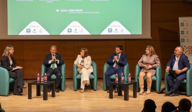 Expertos recomiendan planificar la transición a la jubilación: "Es una inversión a futuro"