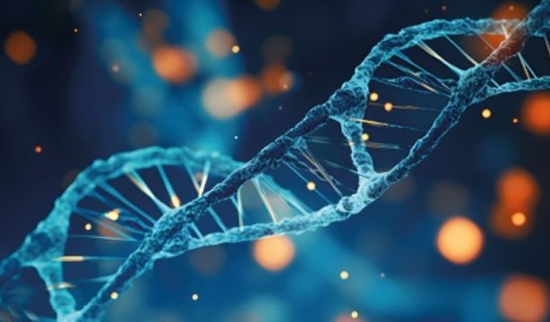 Descubren una nueva vía para desarrollar fármacos más precisos contra el cáncer