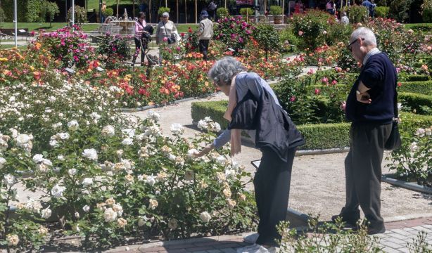La pensión media de jubilación se sitúa en 1.572 euros en mayo, un 4,4% más