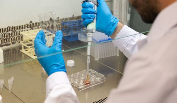 Un nuevo hidrogel inteligente reduce los tiempos de recuperación de fracturas de huesos
