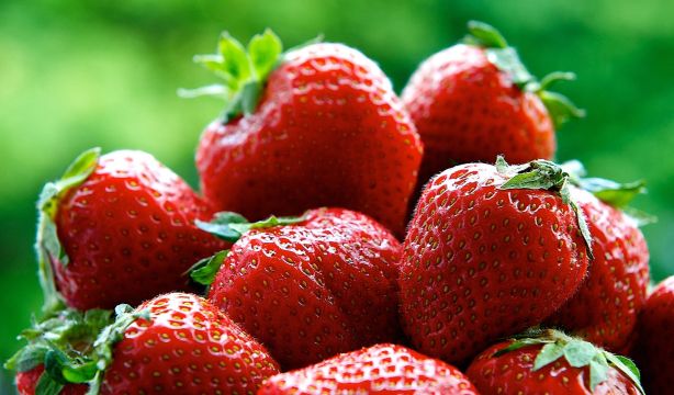 Inteligencia artificial para mejorar el sabor y aroma de las fresas