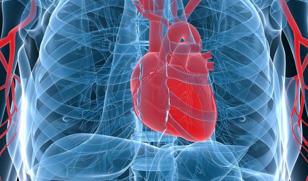 Un nuevo tratamiento con omega-3 reduce el daño cardiaco tras un infarto