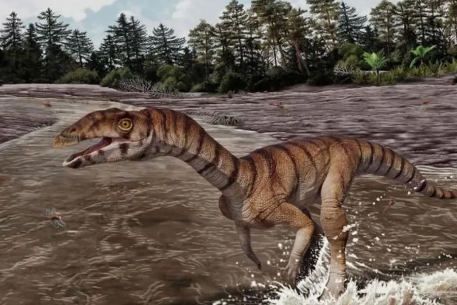 Reconstrucción del Labrujasuchus expectatus, un antepasado del cocodrilo.Ilustración de Jorge González /Instituto de Dinosaurios del NHMLAC