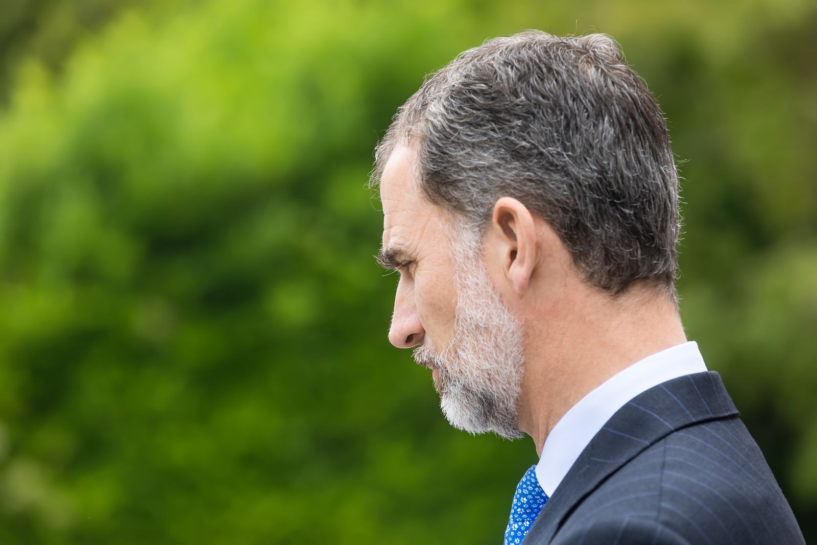 El Rey, Felipe VI