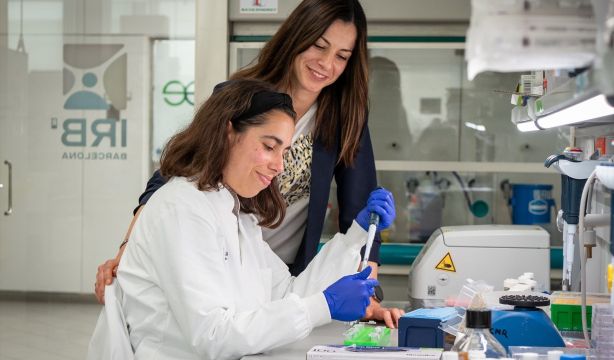 Golpe al cáncer de pulmón: logran una "marcada regresión" degradando la proteína KRAS