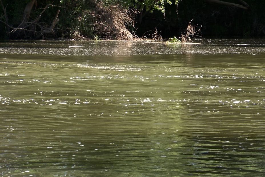 Mueren ahogadas la madre y la abuela de un niño de 5 años al intentar rescatarlo
