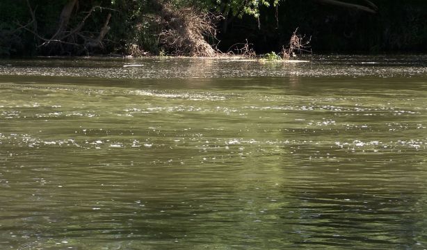 Mueren ahogadas la madre y la abuela de un niño de 5 años al intentar rescatarlo